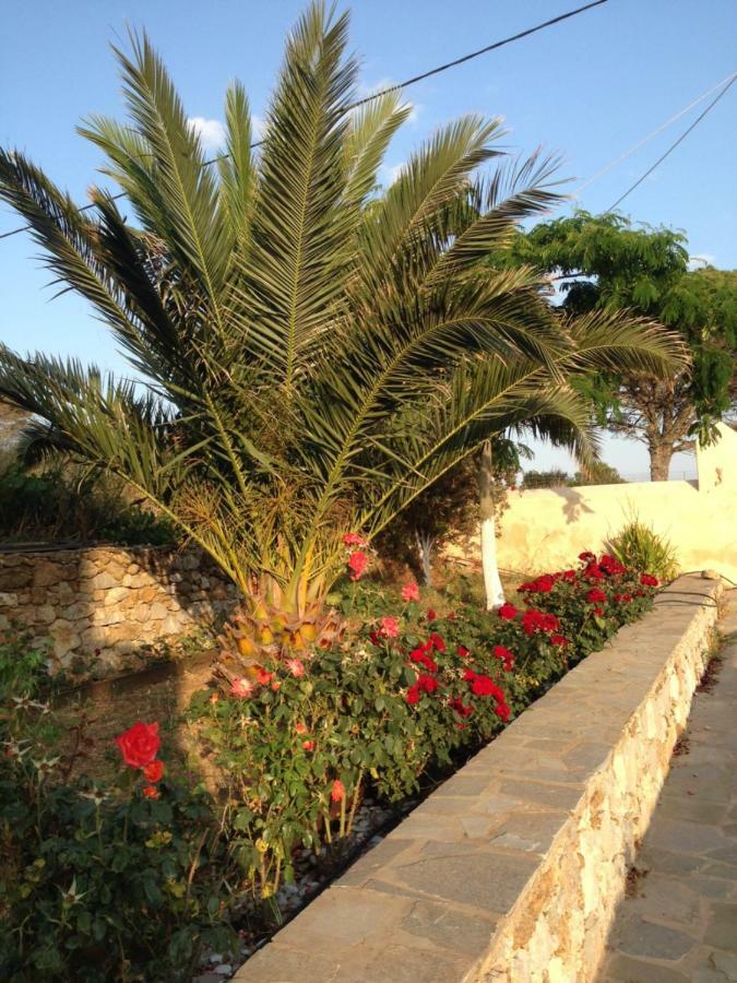 Potamos  The Stone House 빌라 외부 사진
